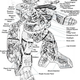 Illustration for article titled These Blueprints Expose The Innards Of Your Favorite Fictional Robots
